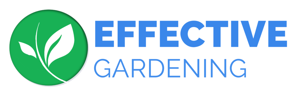 Landscaping Maintenance Services Lawn Care