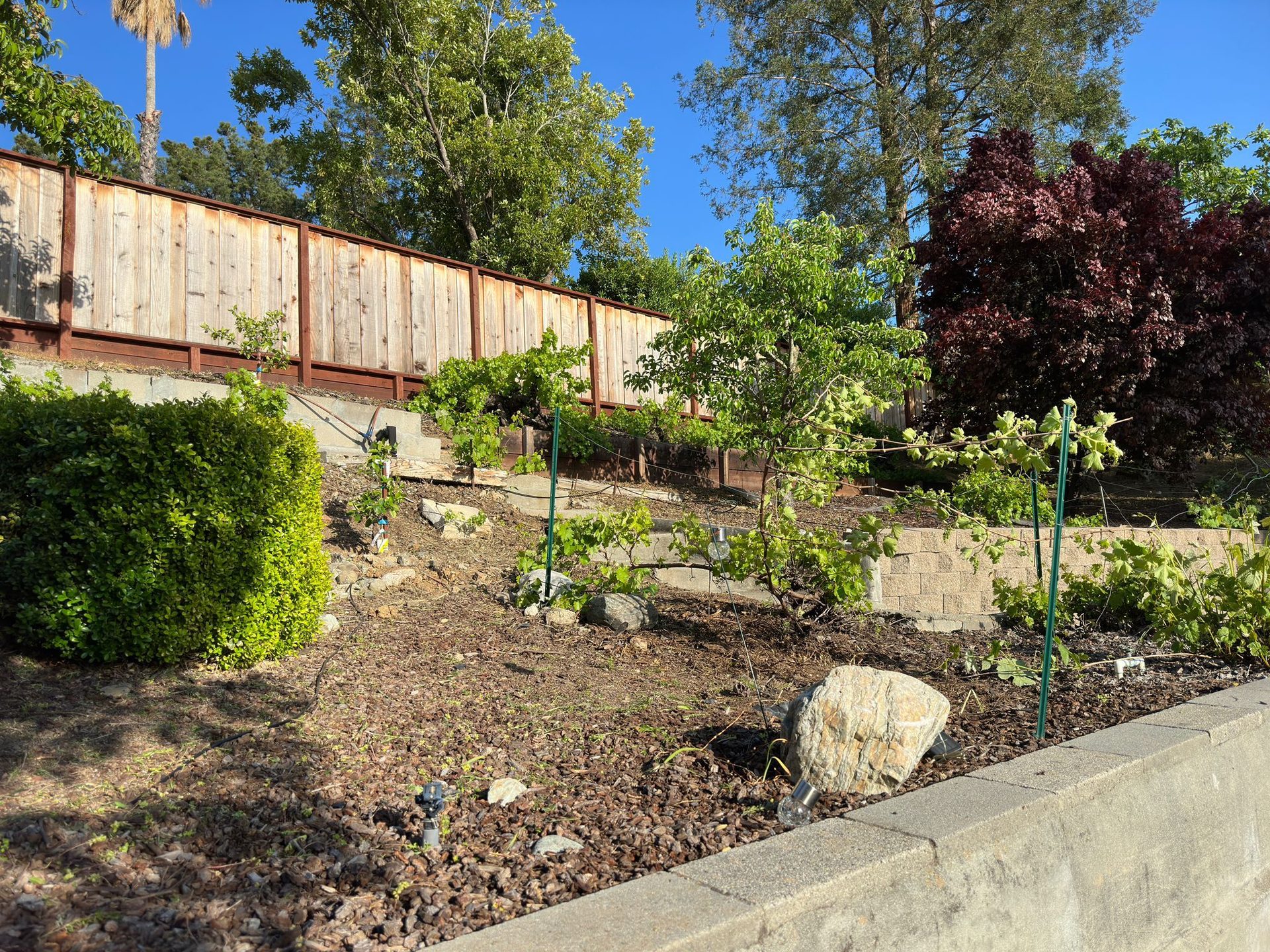 Effective Cleaning - Job Photo 108