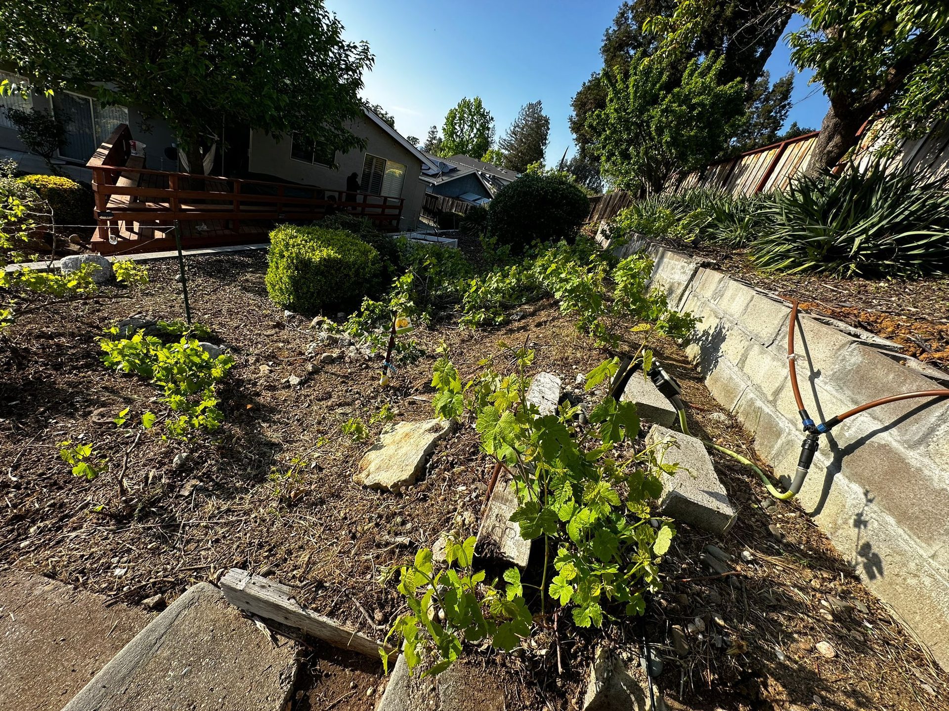 Effective Cleaning - Job Photo 11