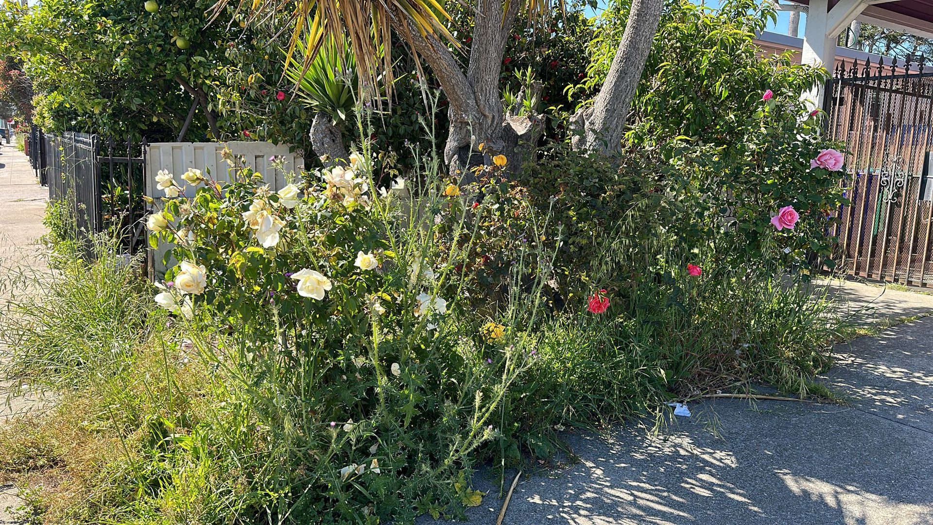 Effective Cleaning - Job Photo 109