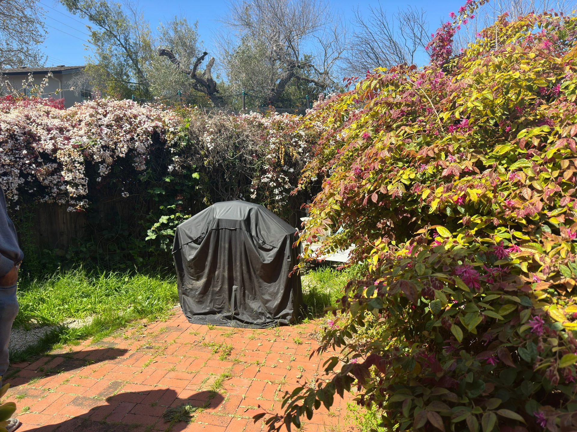 Effective Cleaning - Job Photo 111