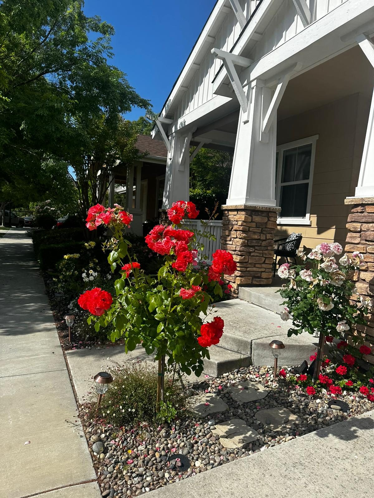 Effective Cleaning - Job Photo 112