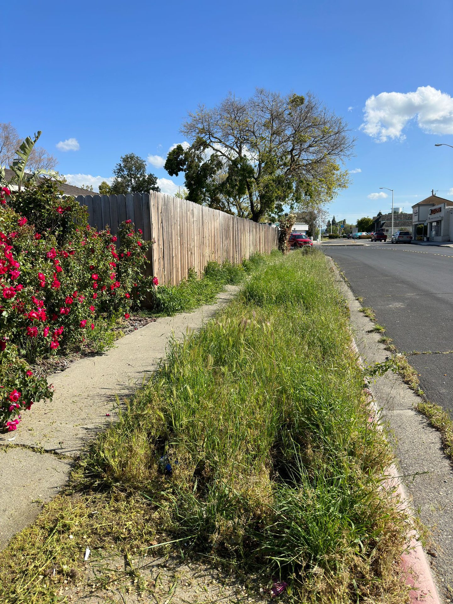 Effective Cleaning - Job Photo 113