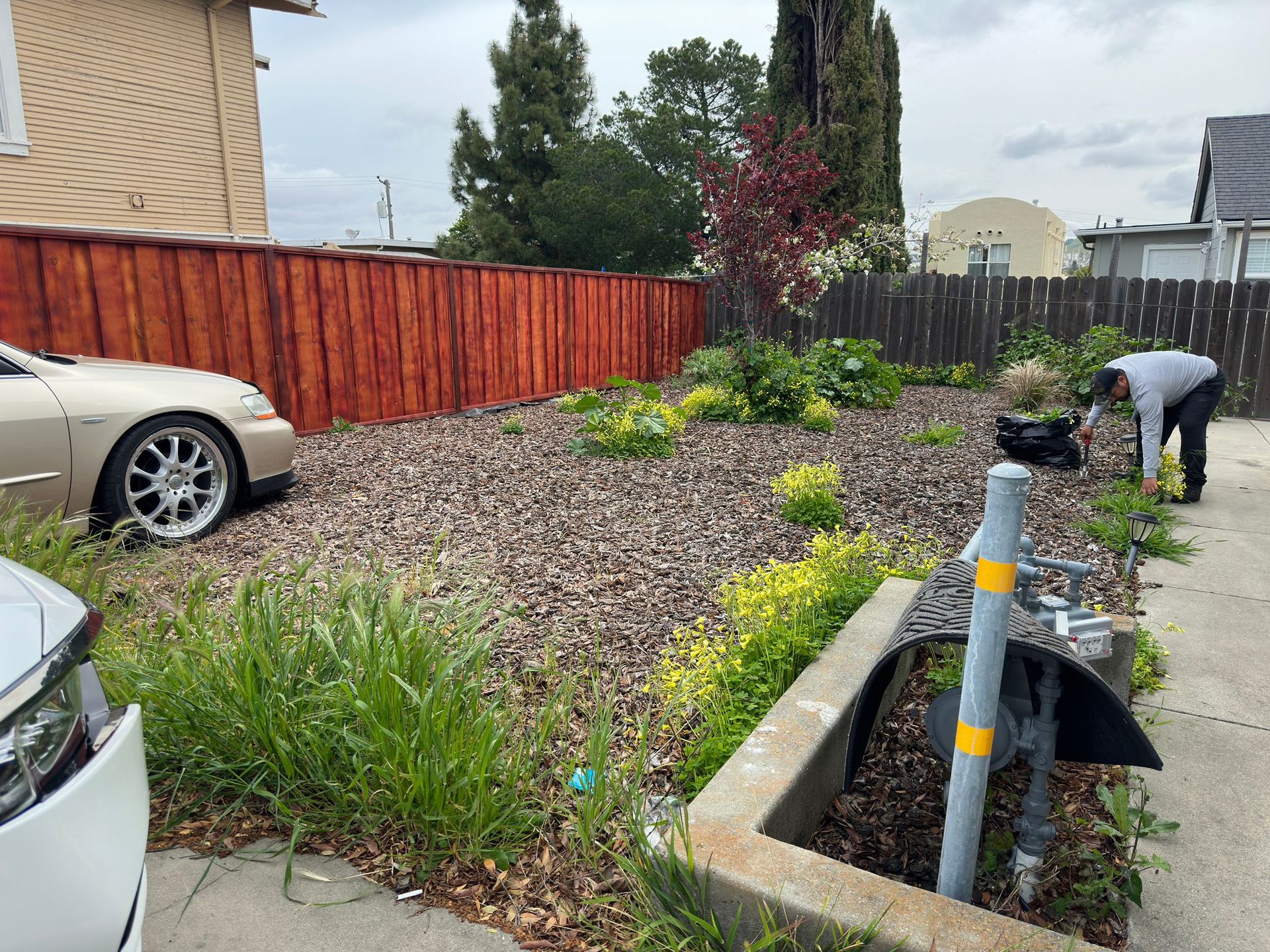 Effective Cleaning - Job Photo 115