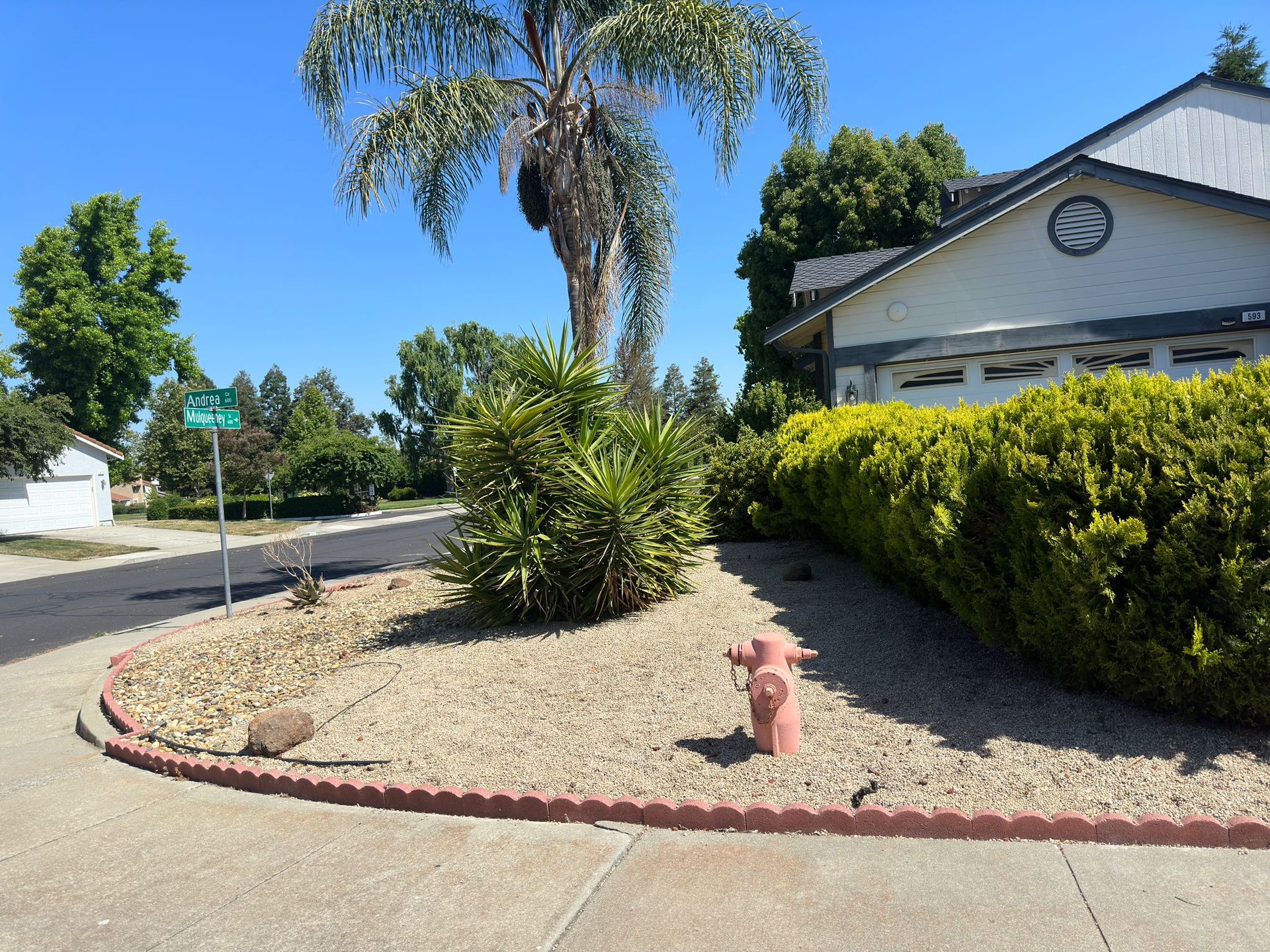 Effective Cleaning - Job Photo 117