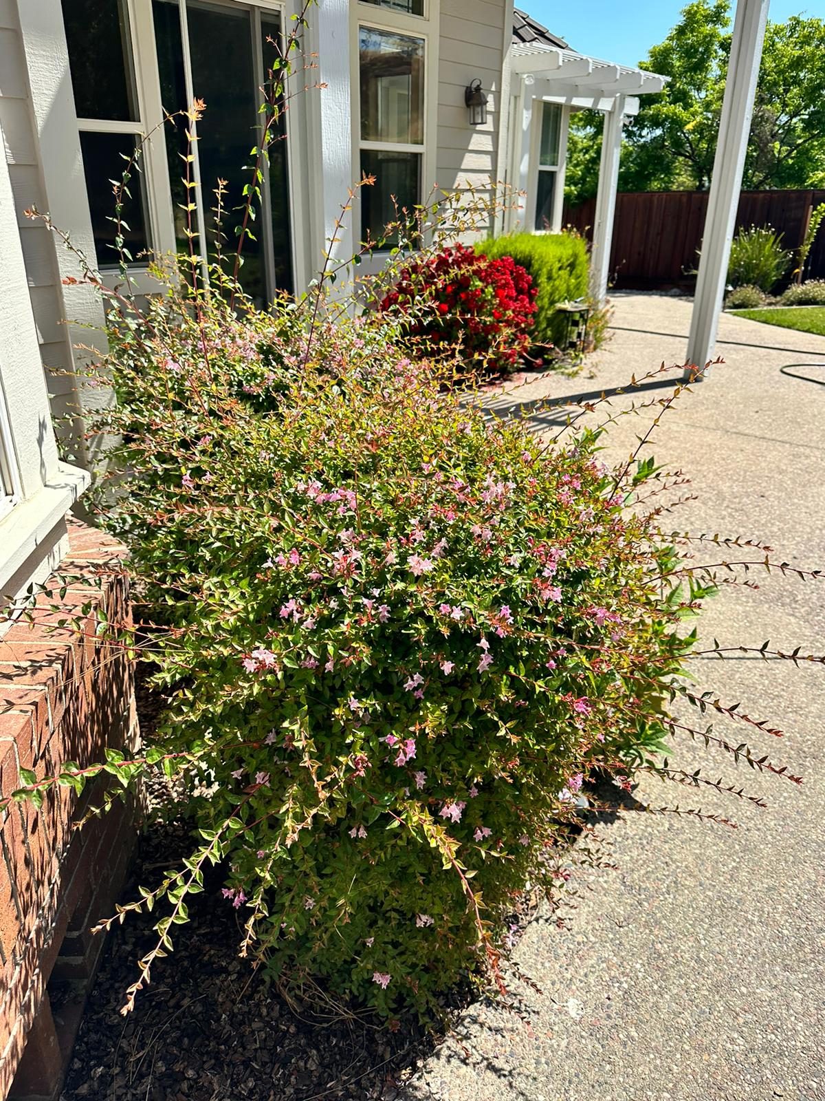 Effective Cleaning - Job Photo 119