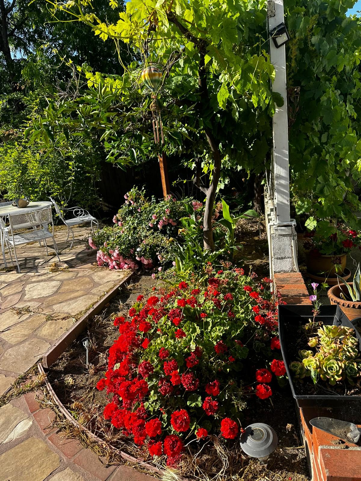 Effective Cleaning - Job Photo 121