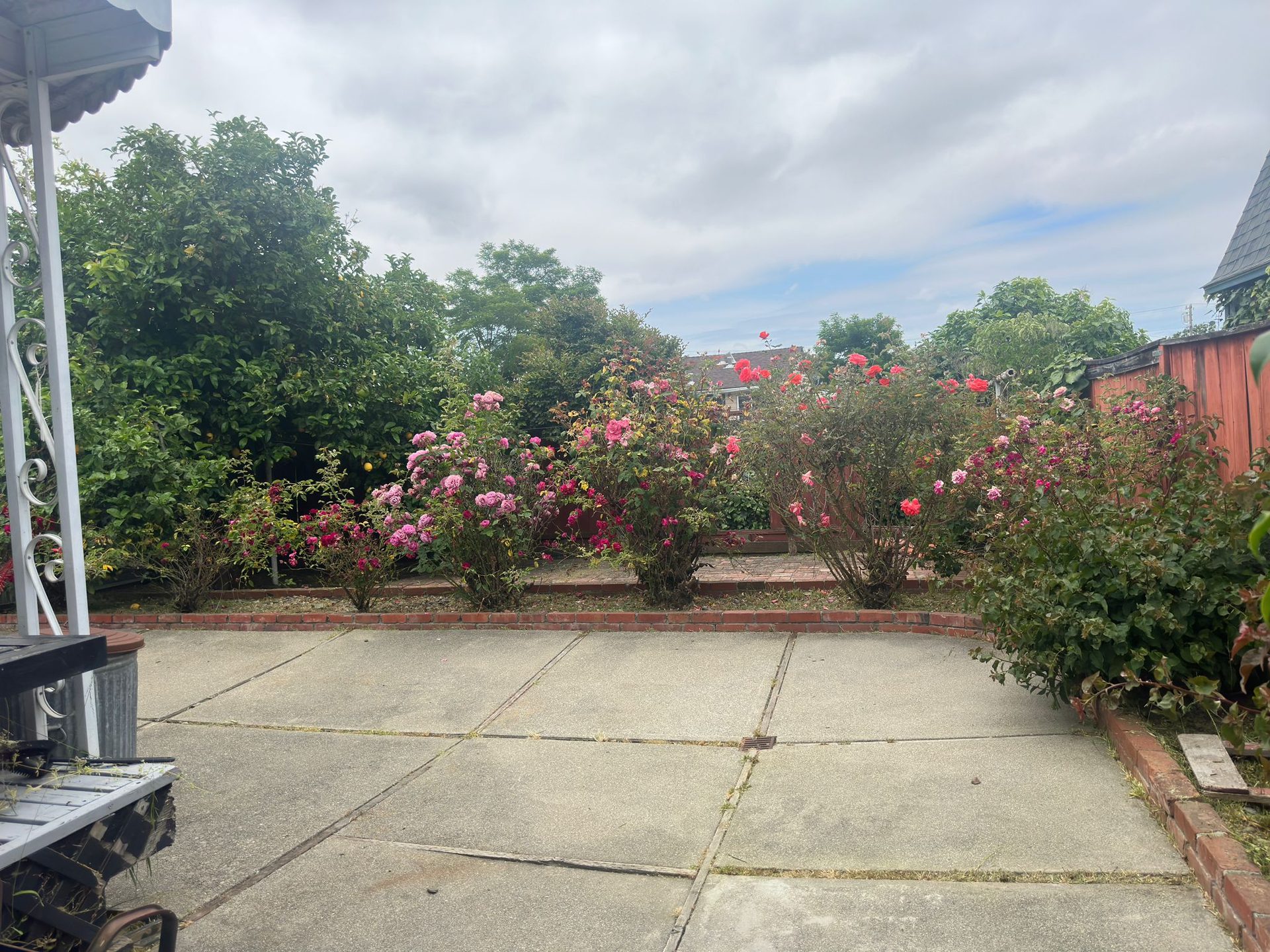 Effective Cleaning - Job Photo 123