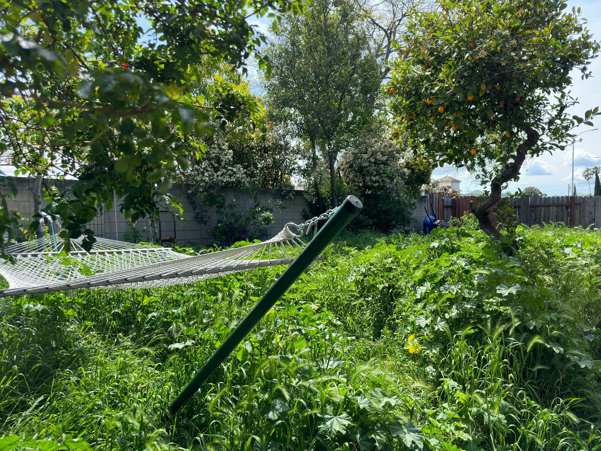 Effective Cleaning - Job Photo 124