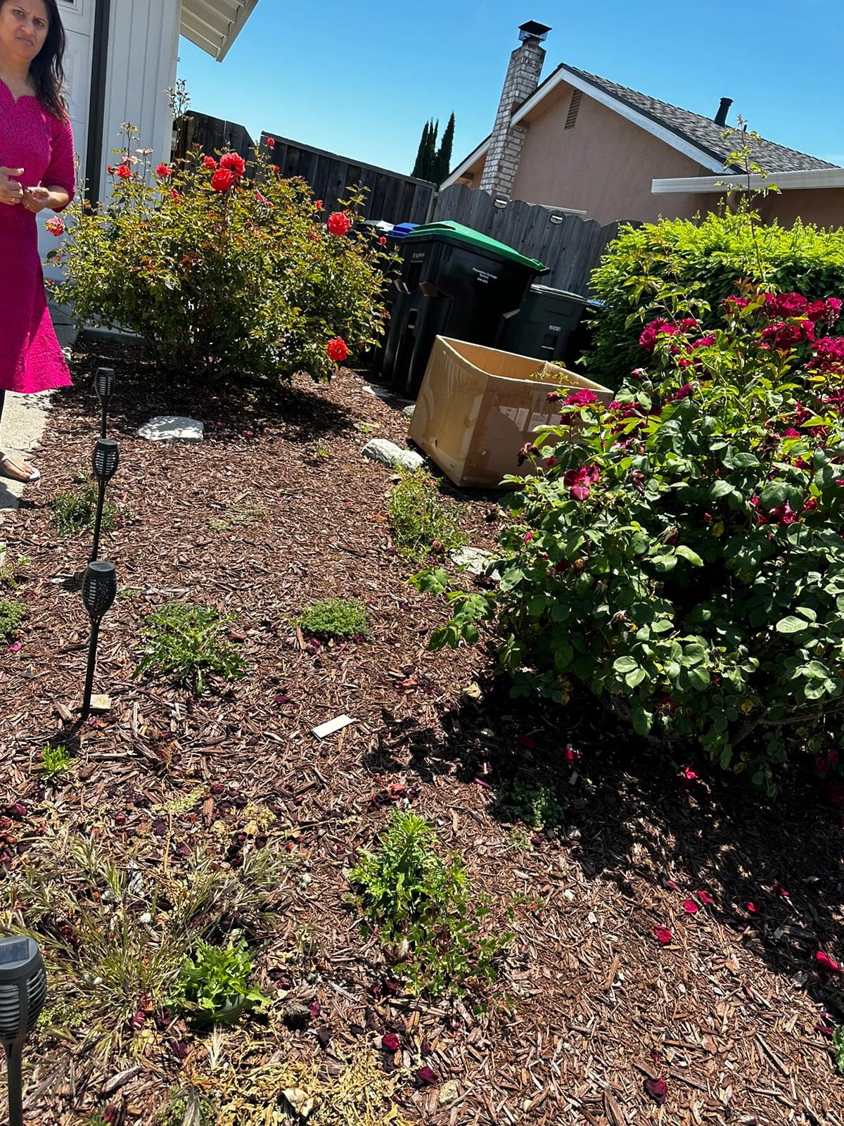 Effective Cleaning - Job Photo 13