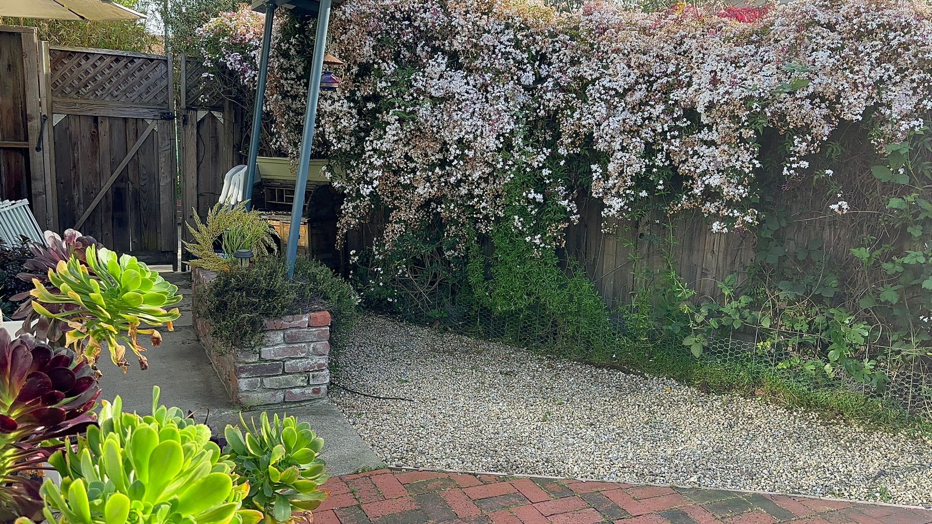 Effective Cleaning - Job Photo 16