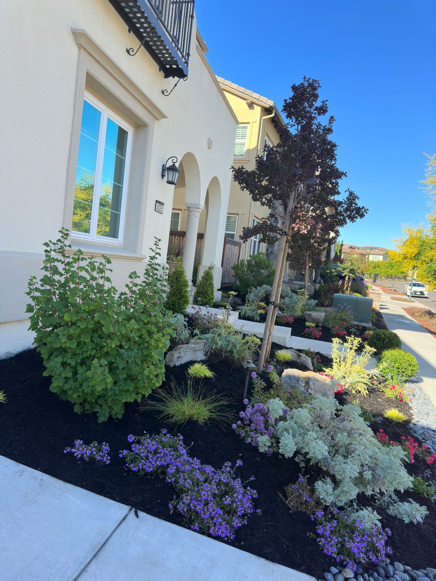 Effective Cleaning - Job Photo 17