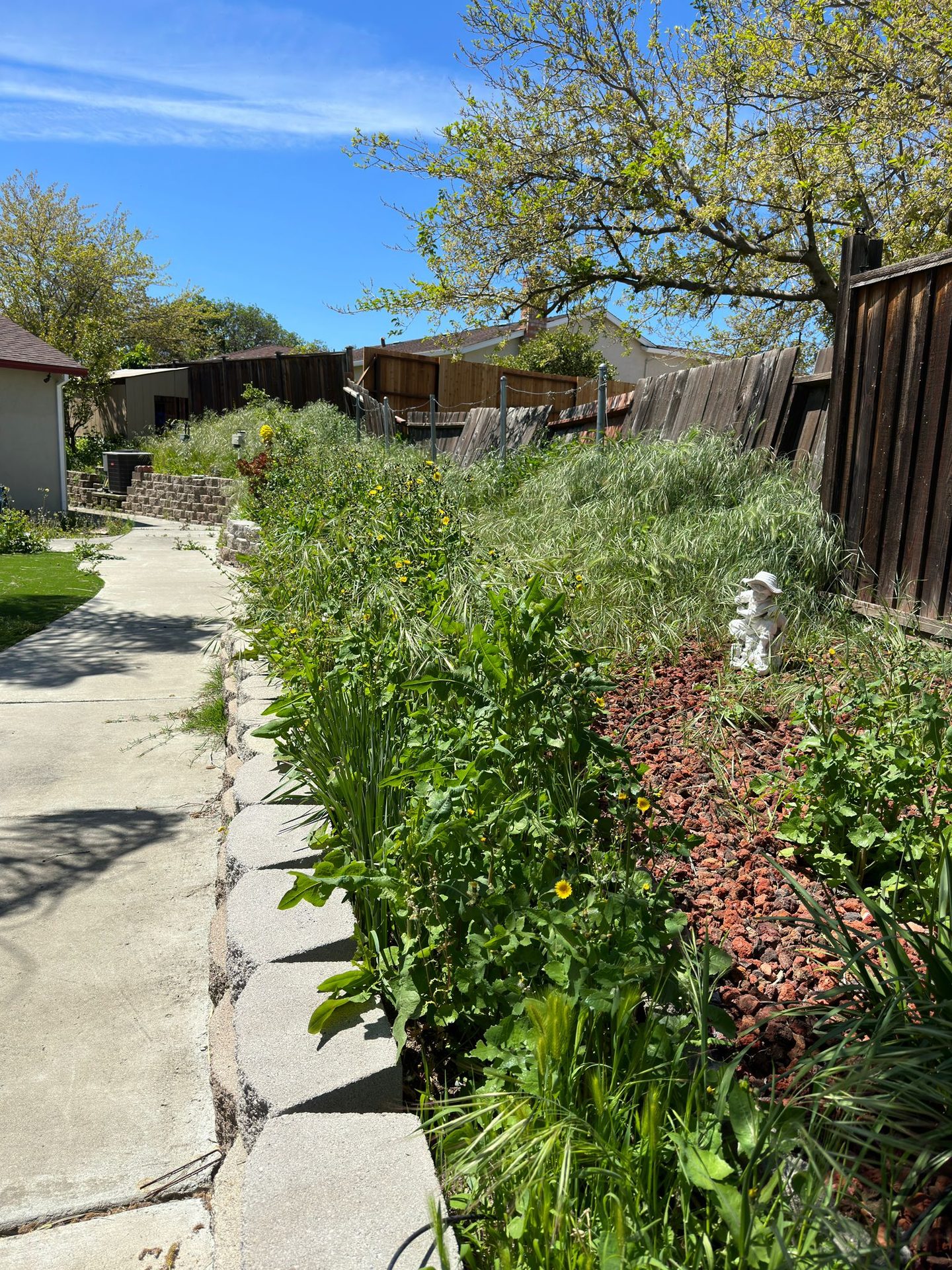 Effective Cleaning - Job Photo 18