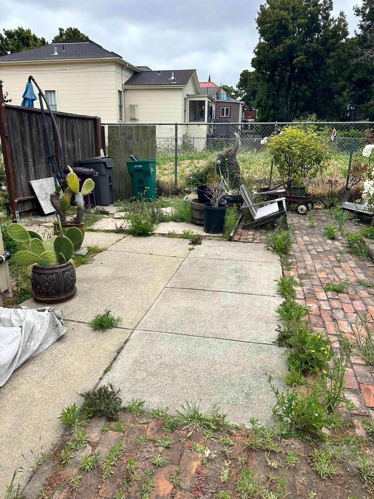 Effective Cleaning - Job Photo 19