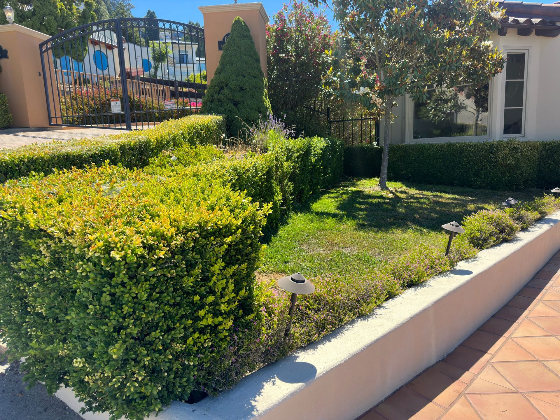 Effective Cleaning - Job Photo 20