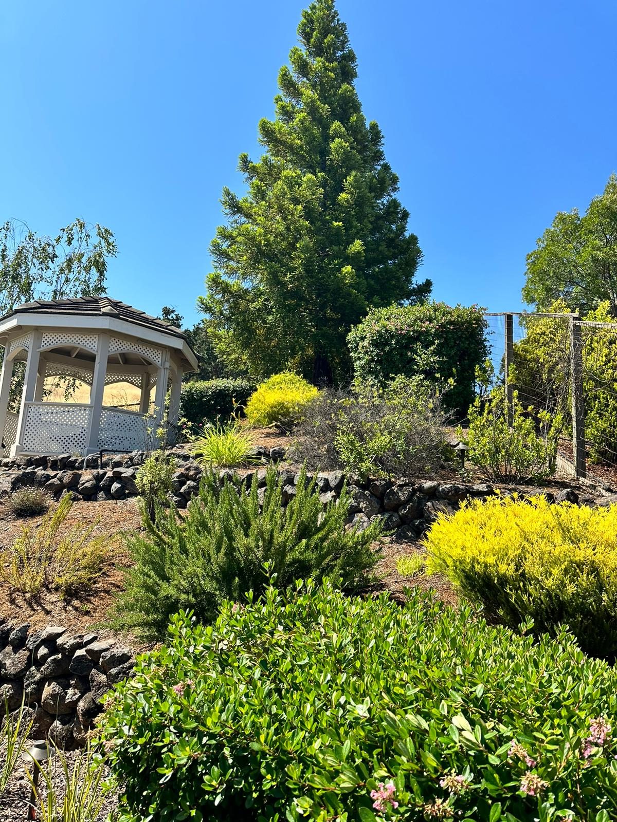 Effective Cleaning - Job Photo 21