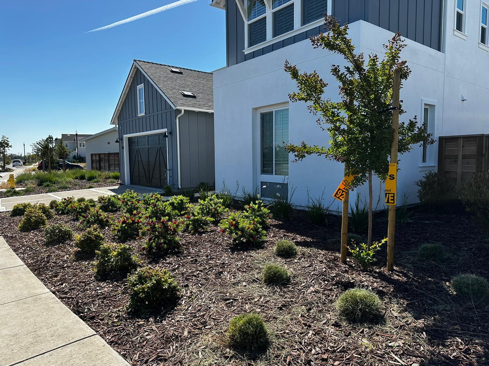 Effective Cleaning - Job Photo 27