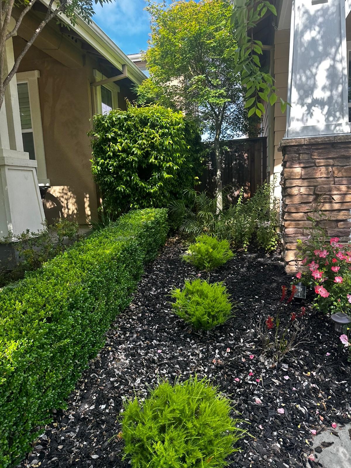 Effective Cleaning - Job Photo 28