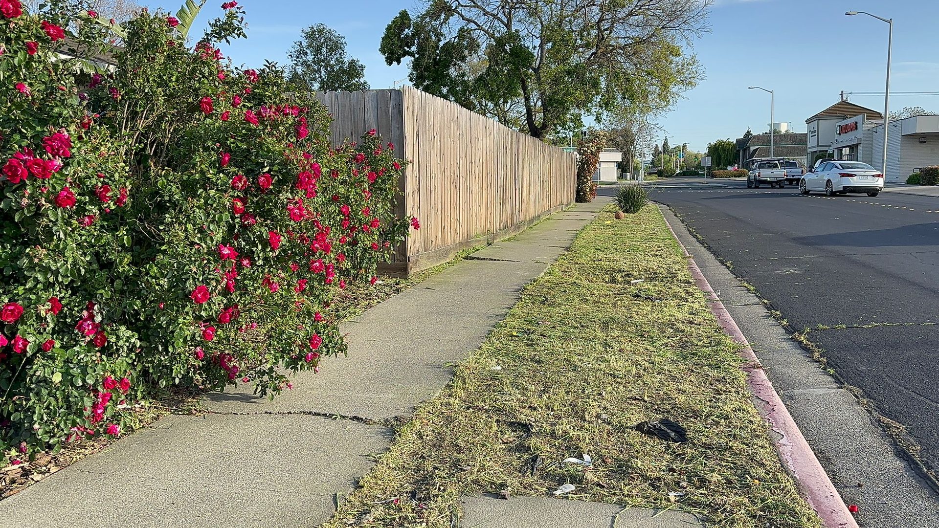 Effective Cleaning - Job Photo 31