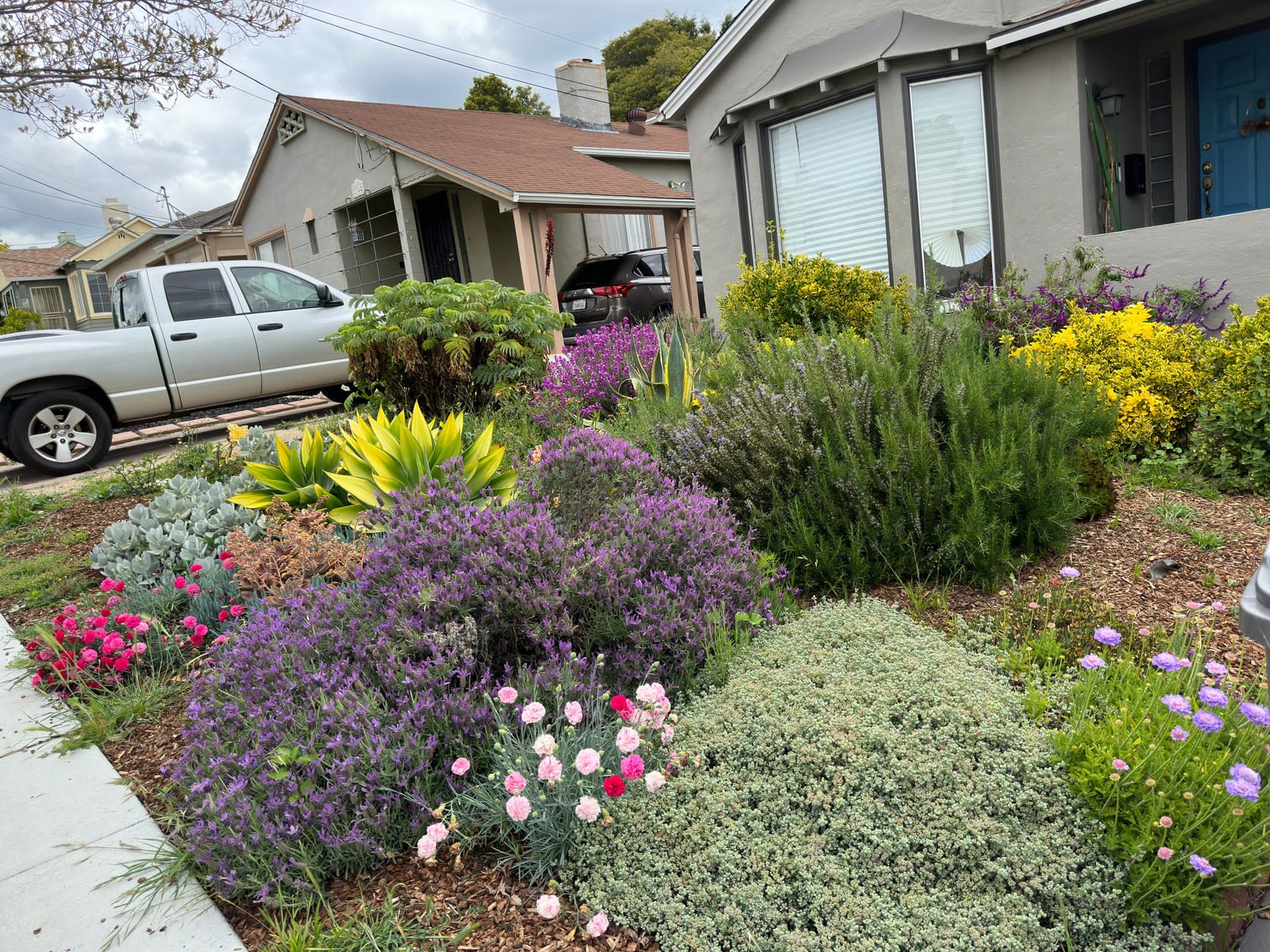 Effective Cleaning - Job Photo 32