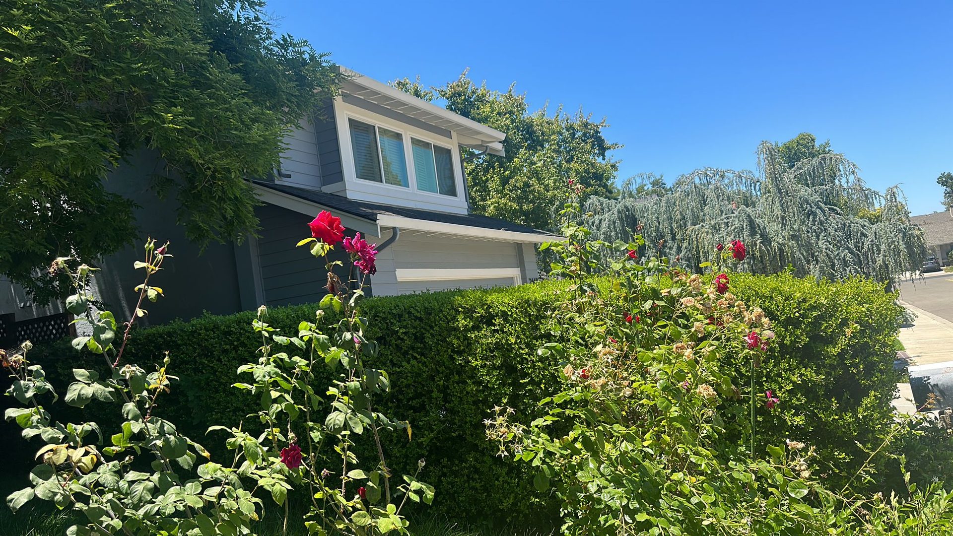 Effective Cleaning - Job Photo 33