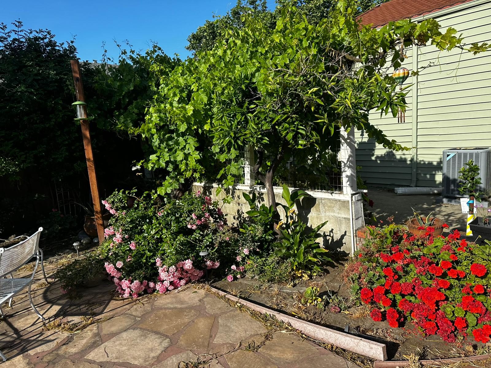 Effective Cleaning - Job Photo 35