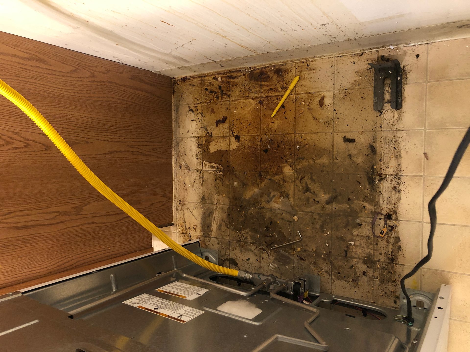 Effective Cleaning - Job Photo 40