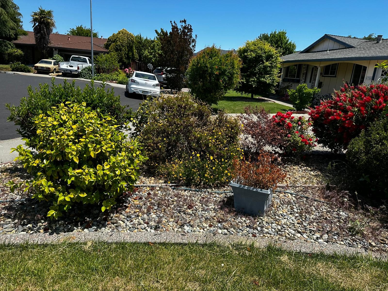 Effective Cleaning - Job Photo 41