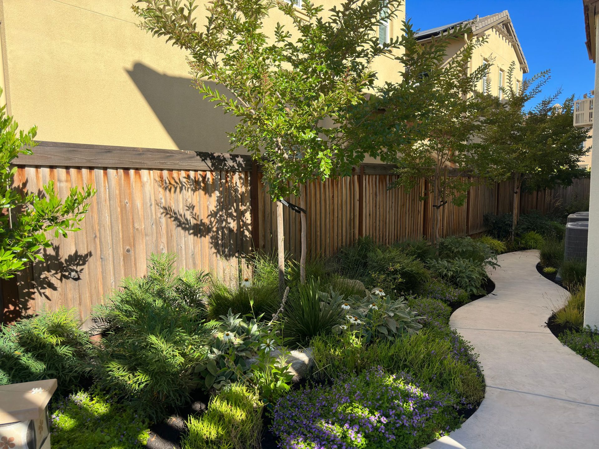 Effective Cleaning - Job Photo 45