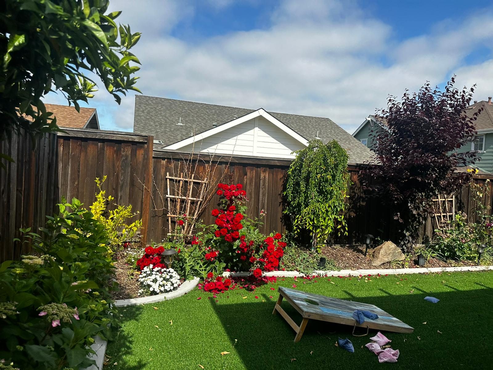 Effective Cleaning - Job Photo 46