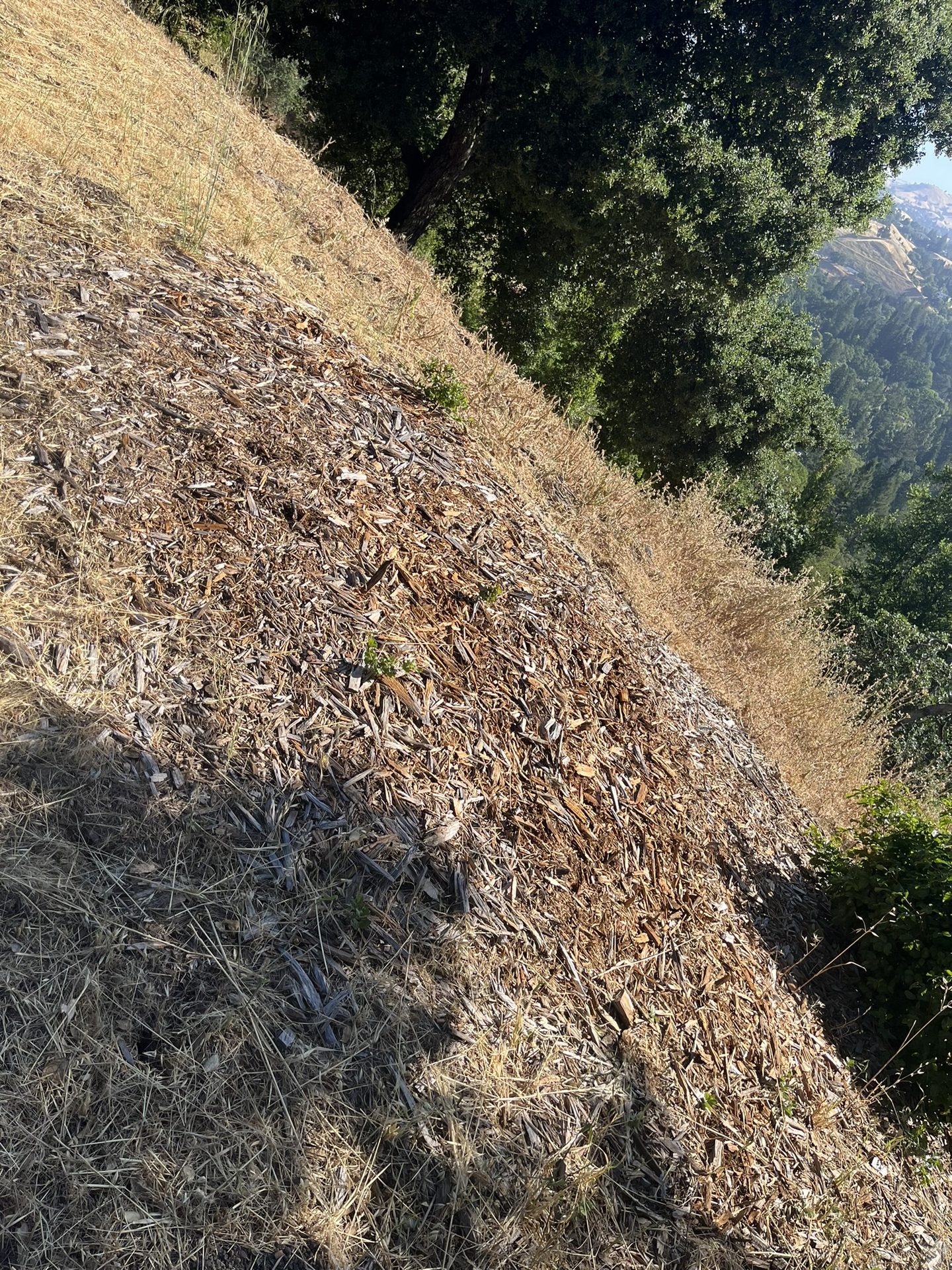 Effective Cleaning - Job Photo 50