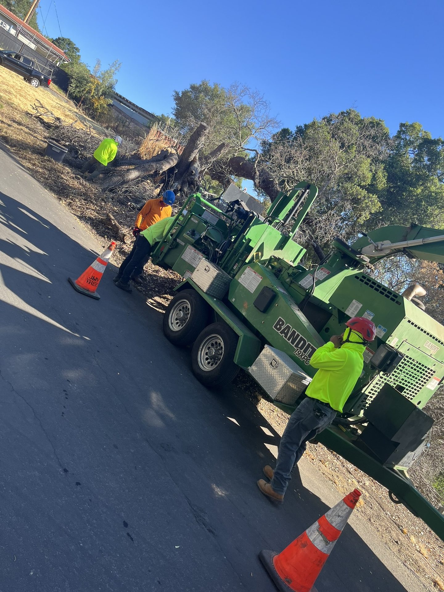 Effective Cleaning - Job Photo 51