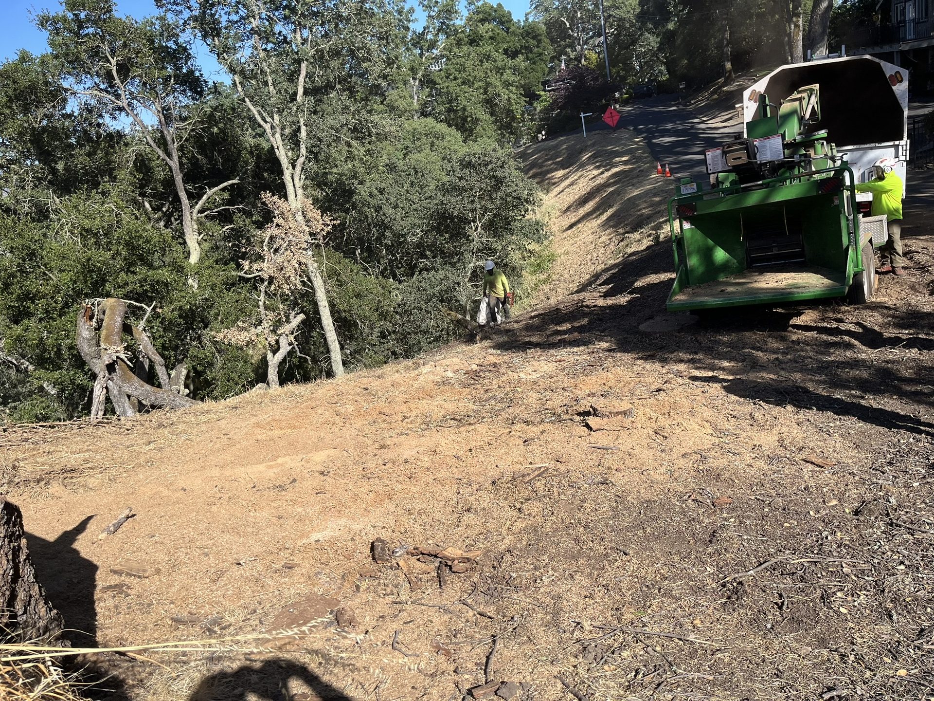 Effective Cleaning - Job Photo 54