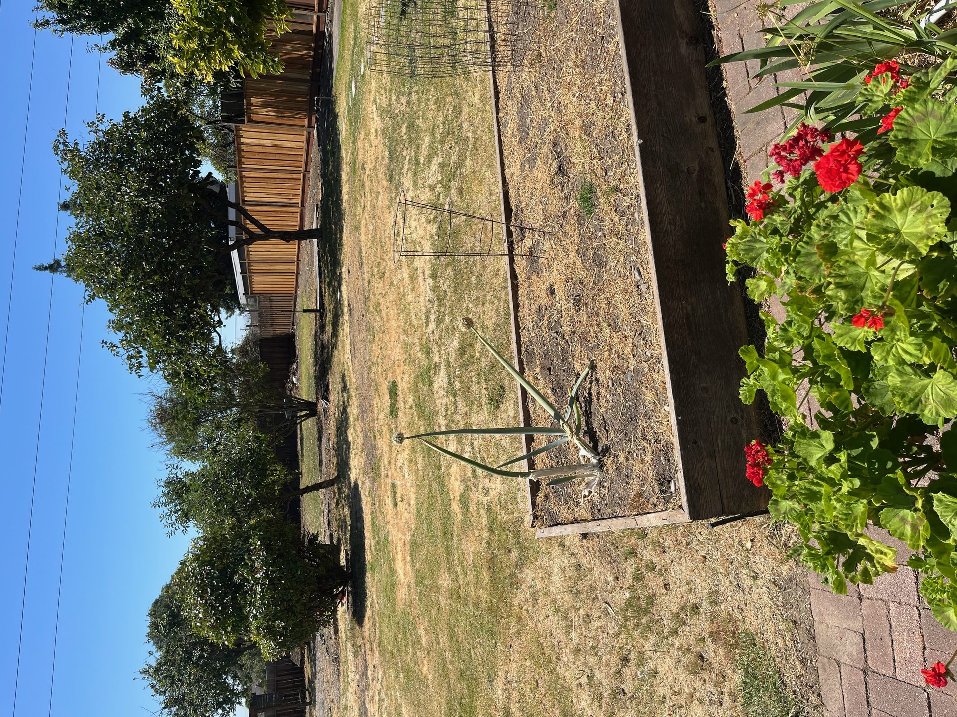 Effective Cleaning - Job Photo 55