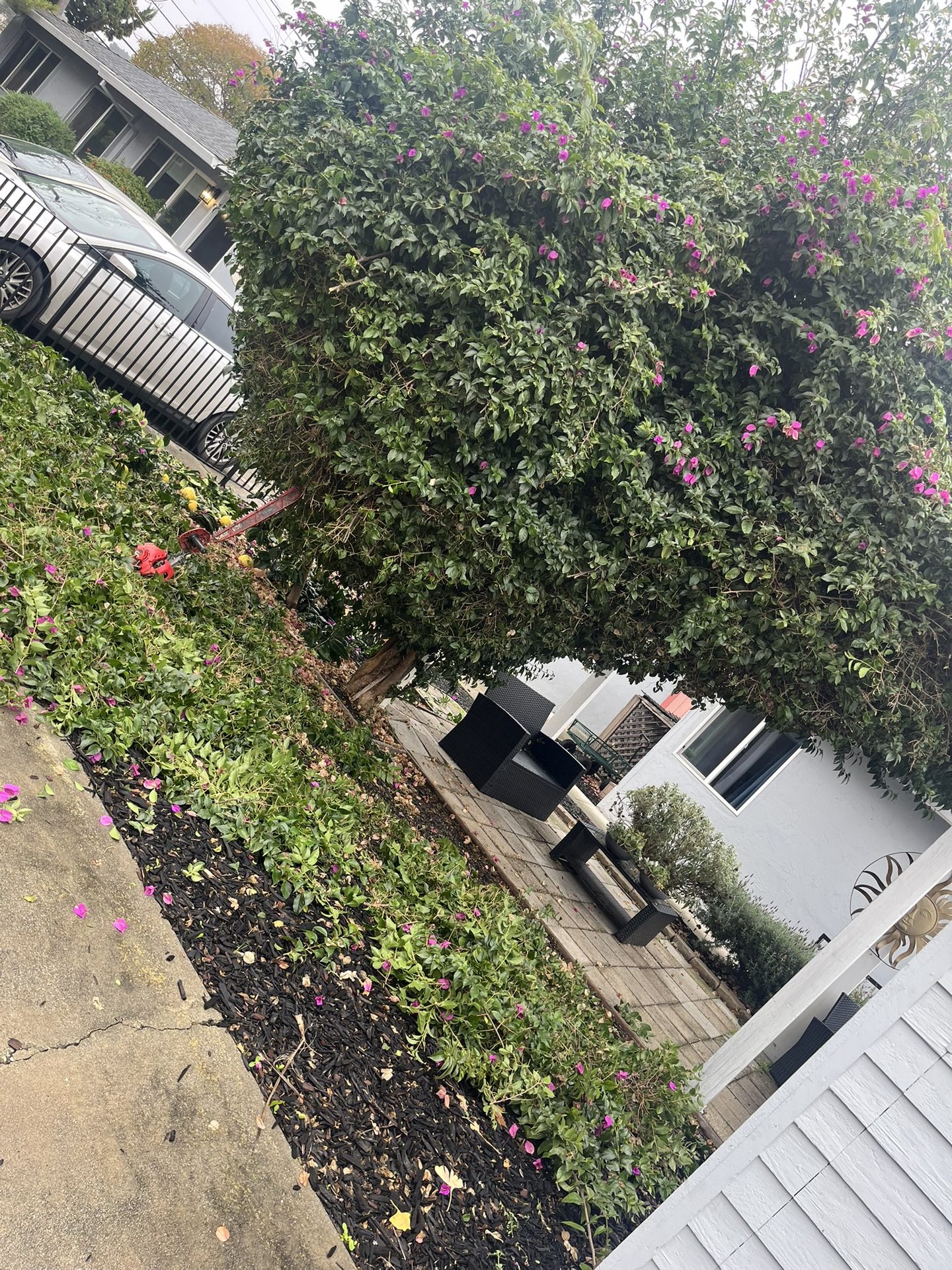 Effective Cleaning - Job Photo 57