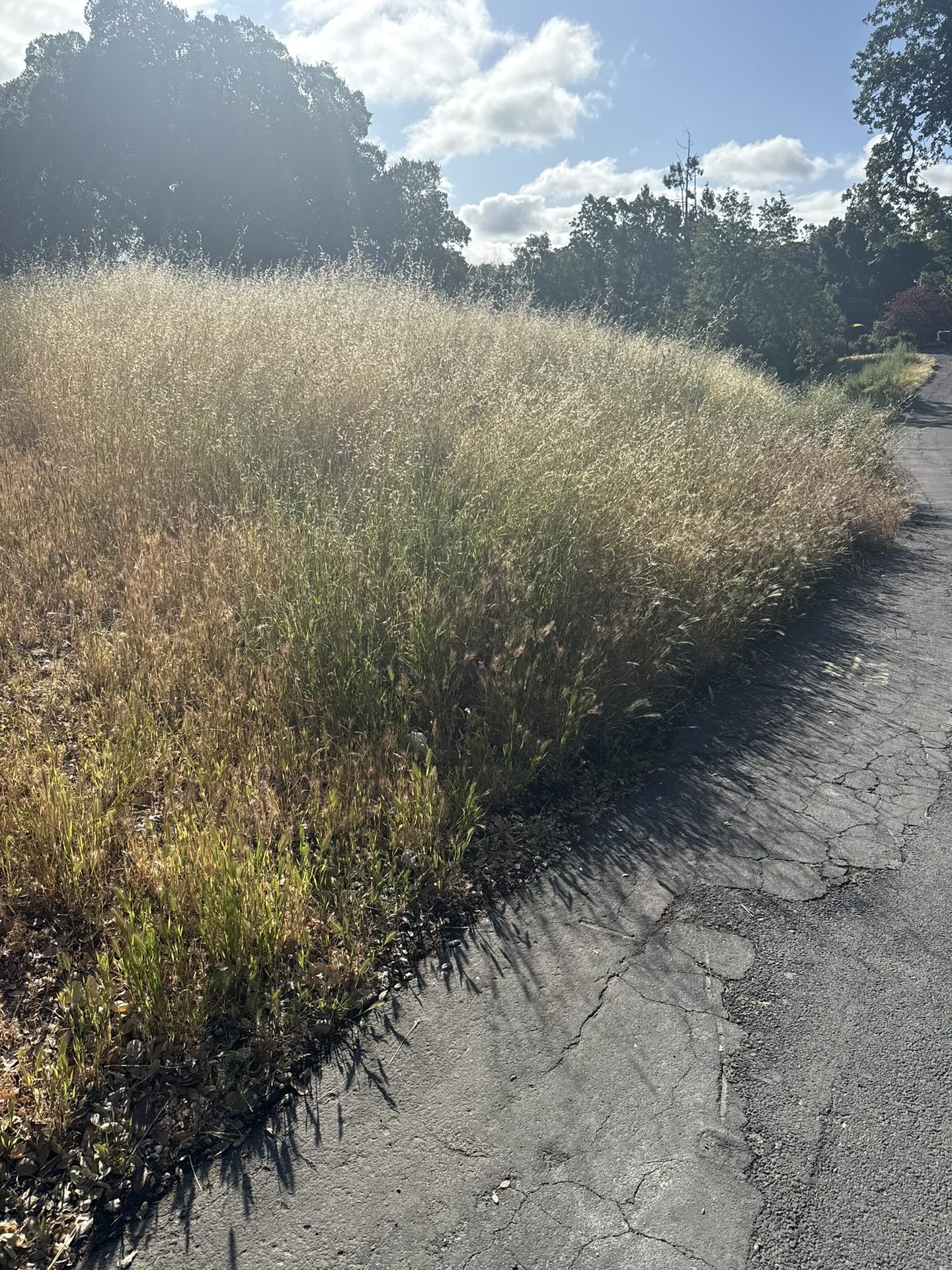 Effective Cleaning - Job Photo 58