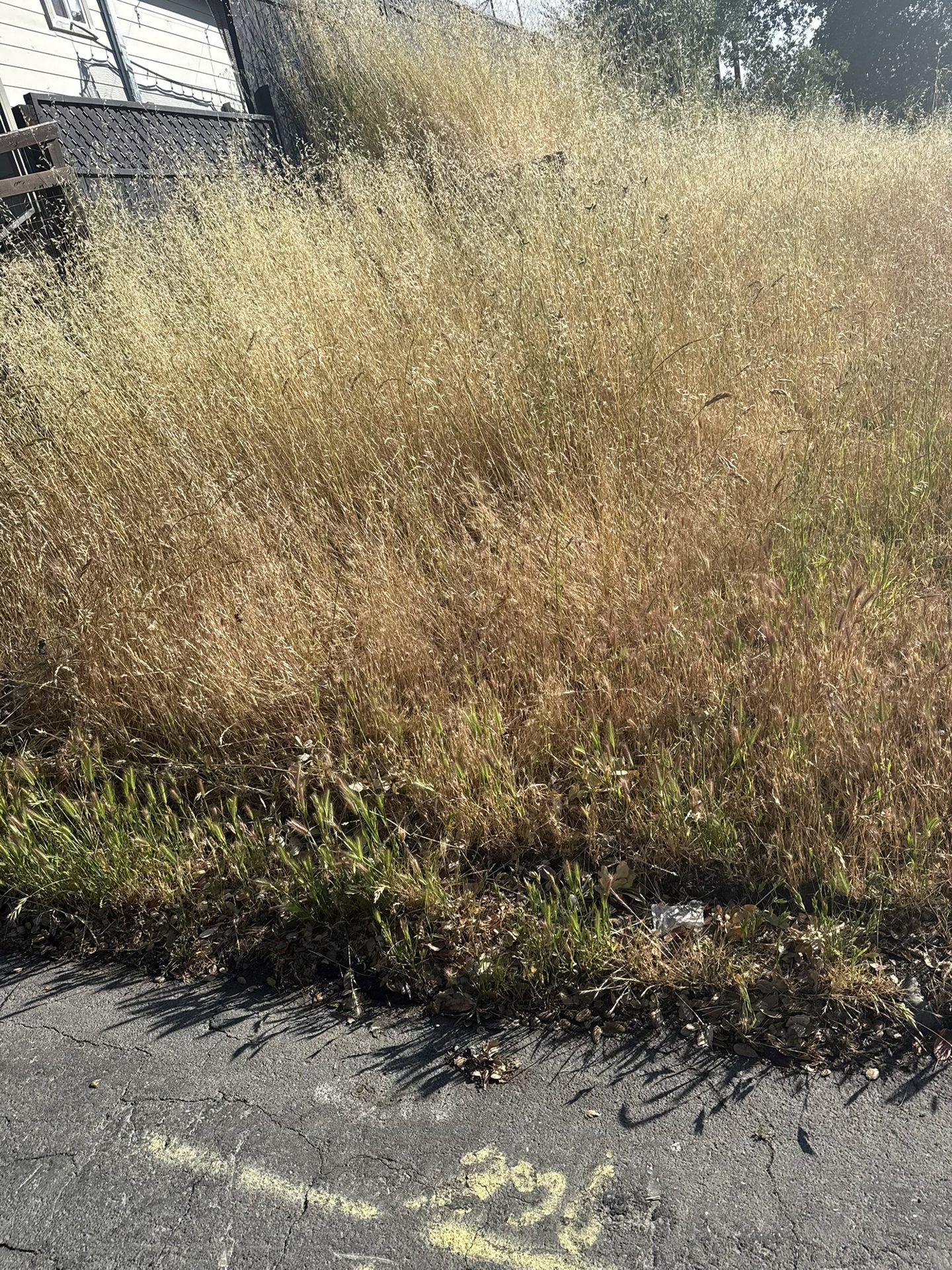 Effective Cleaning - Job Photo 59