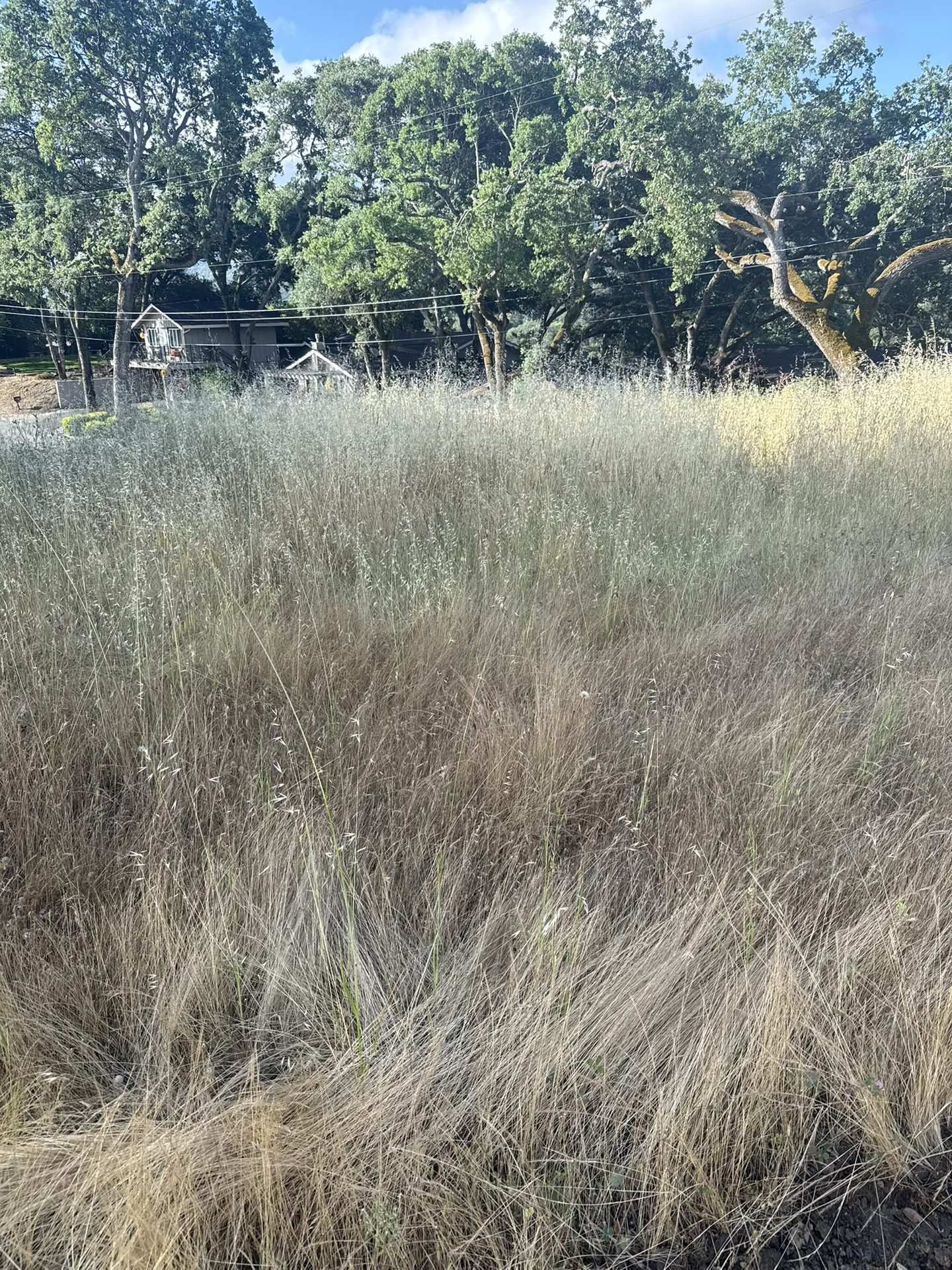 Effective Cleaning - Job Photo 60