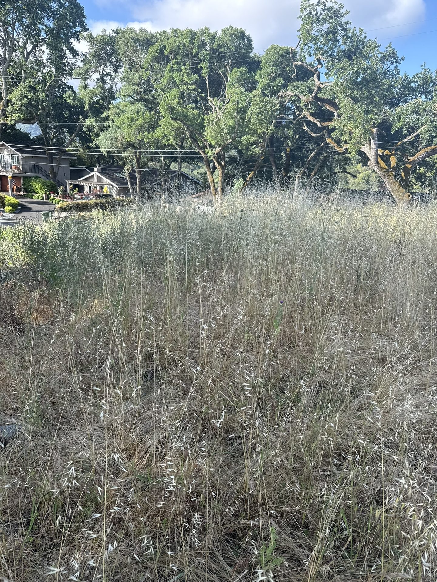 Effective Cleaning - Job Photo 61