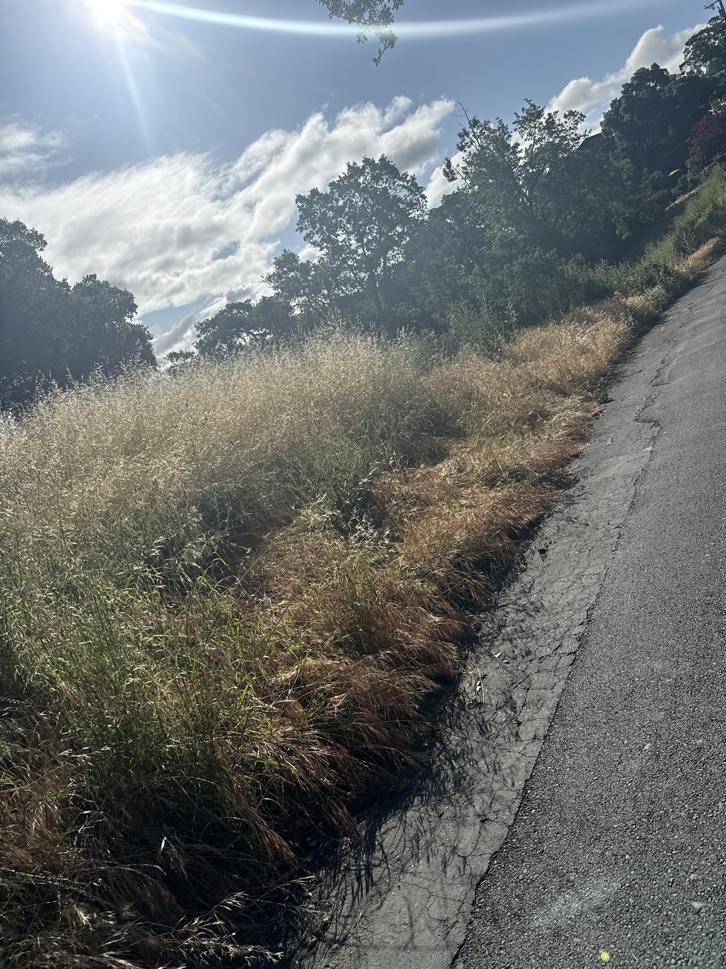 Effective Cleaning - Job Photo 62