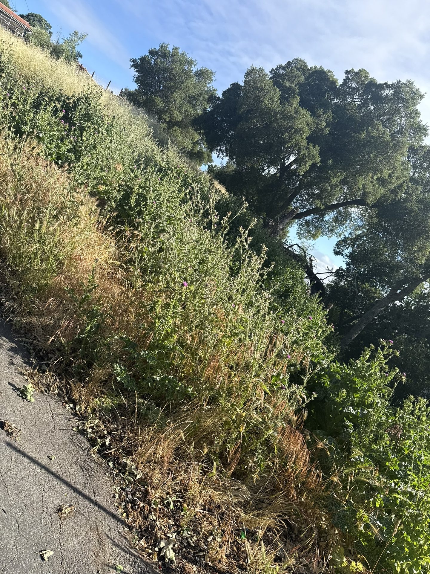 Effective Cleaning - Job Photo 63