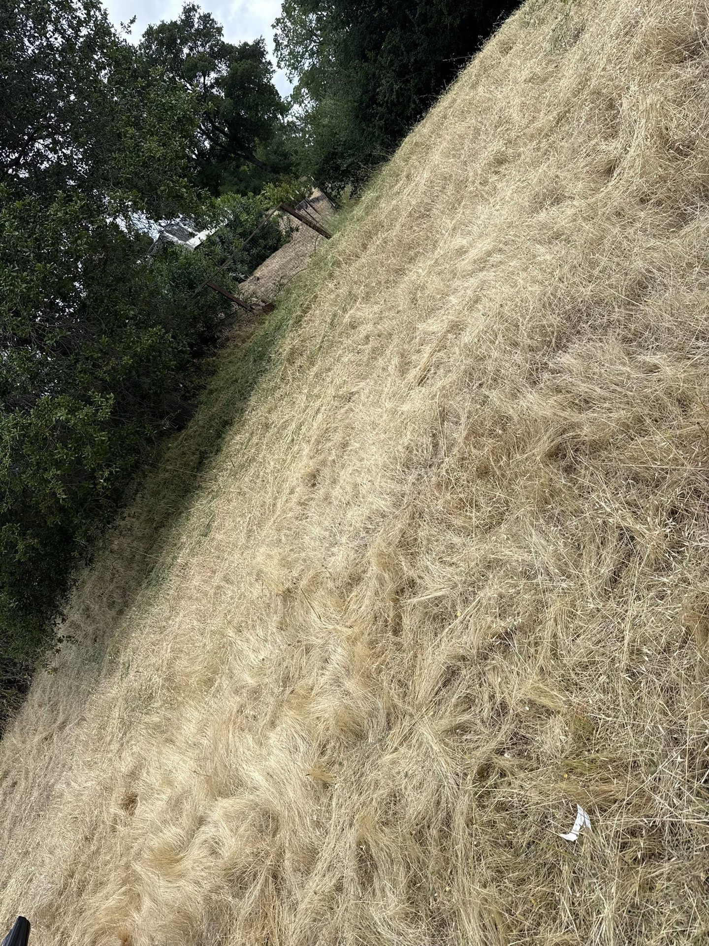 Effective Cleaning - Job Photo 64