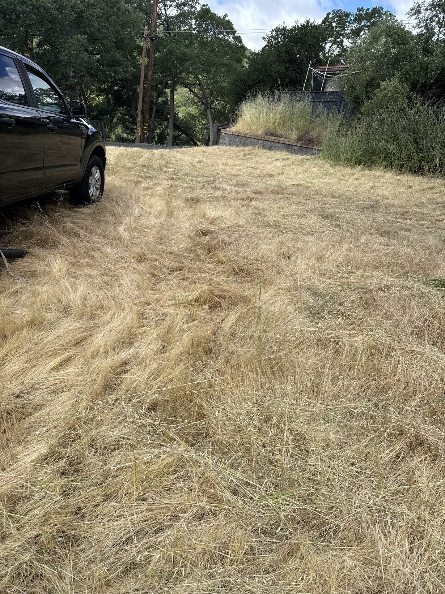 Effective Cleaning - Job Photo 65