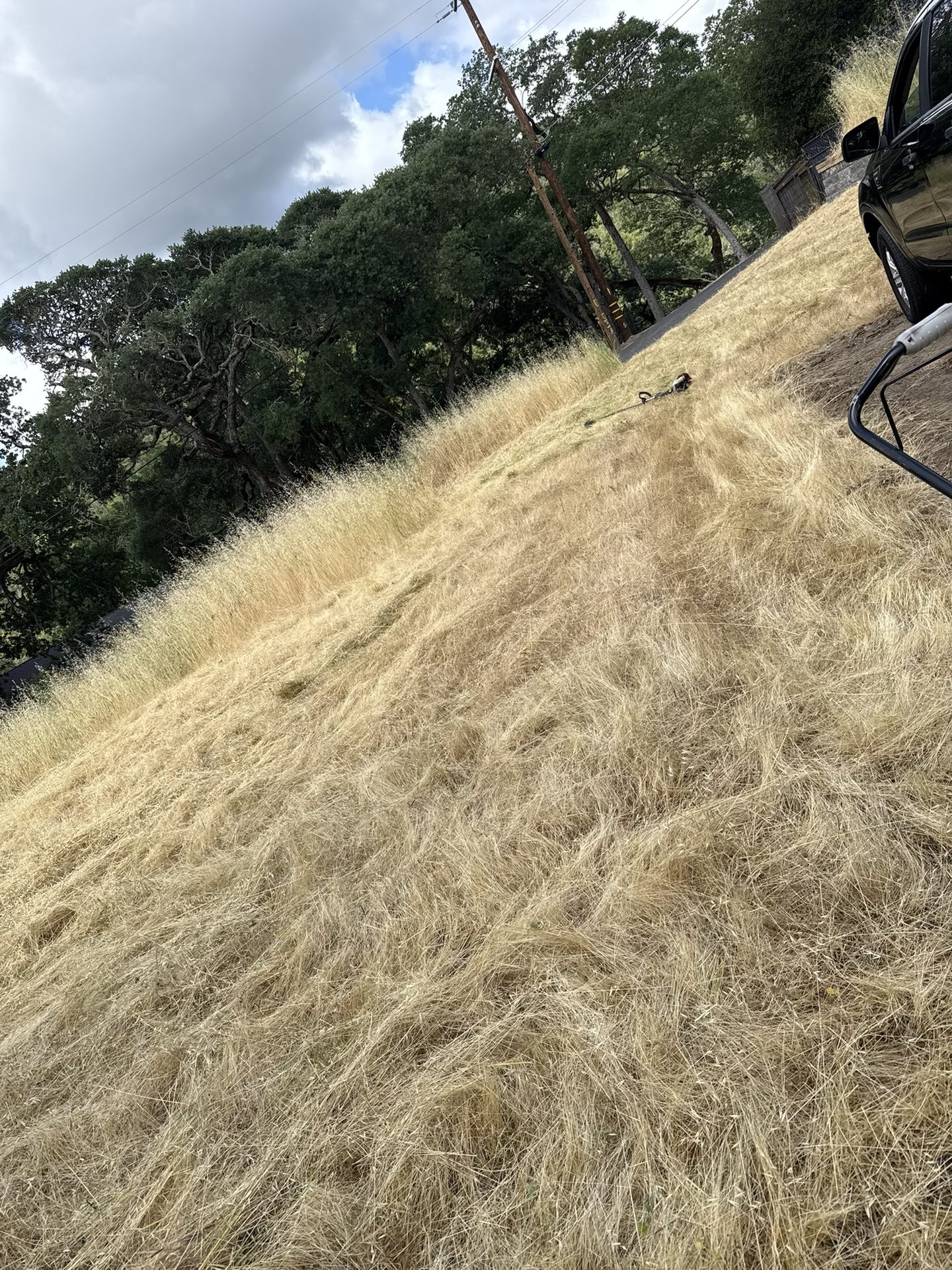 Effective Cleaning - Job Photo 66