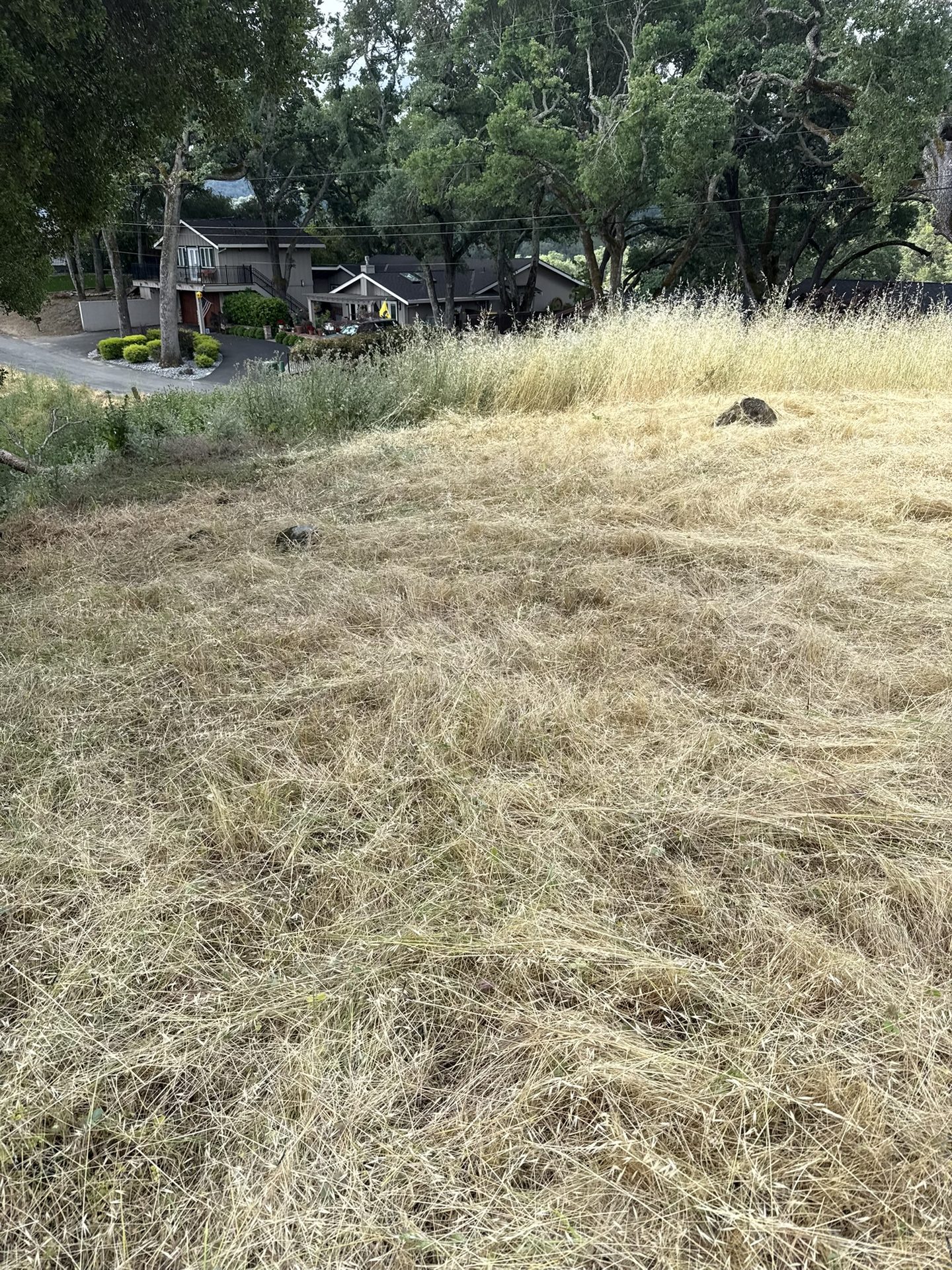 Effective Cleaning - Job Photo 67