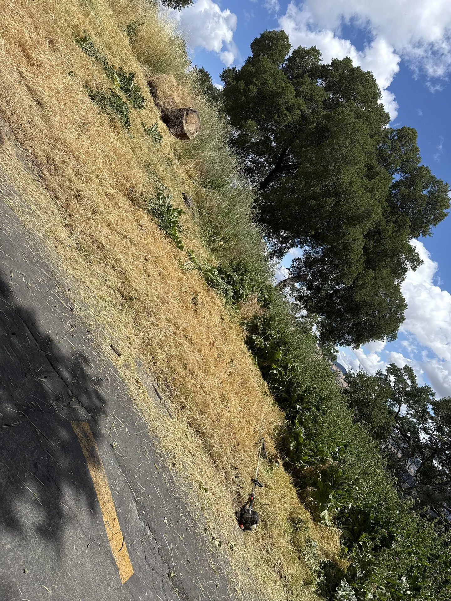 Effective Cleaning - Job Photo 68