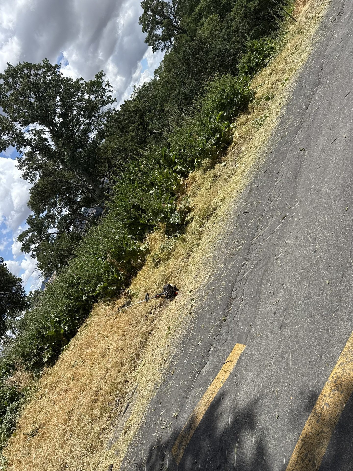 Effective Cleaning - Job Photo 69