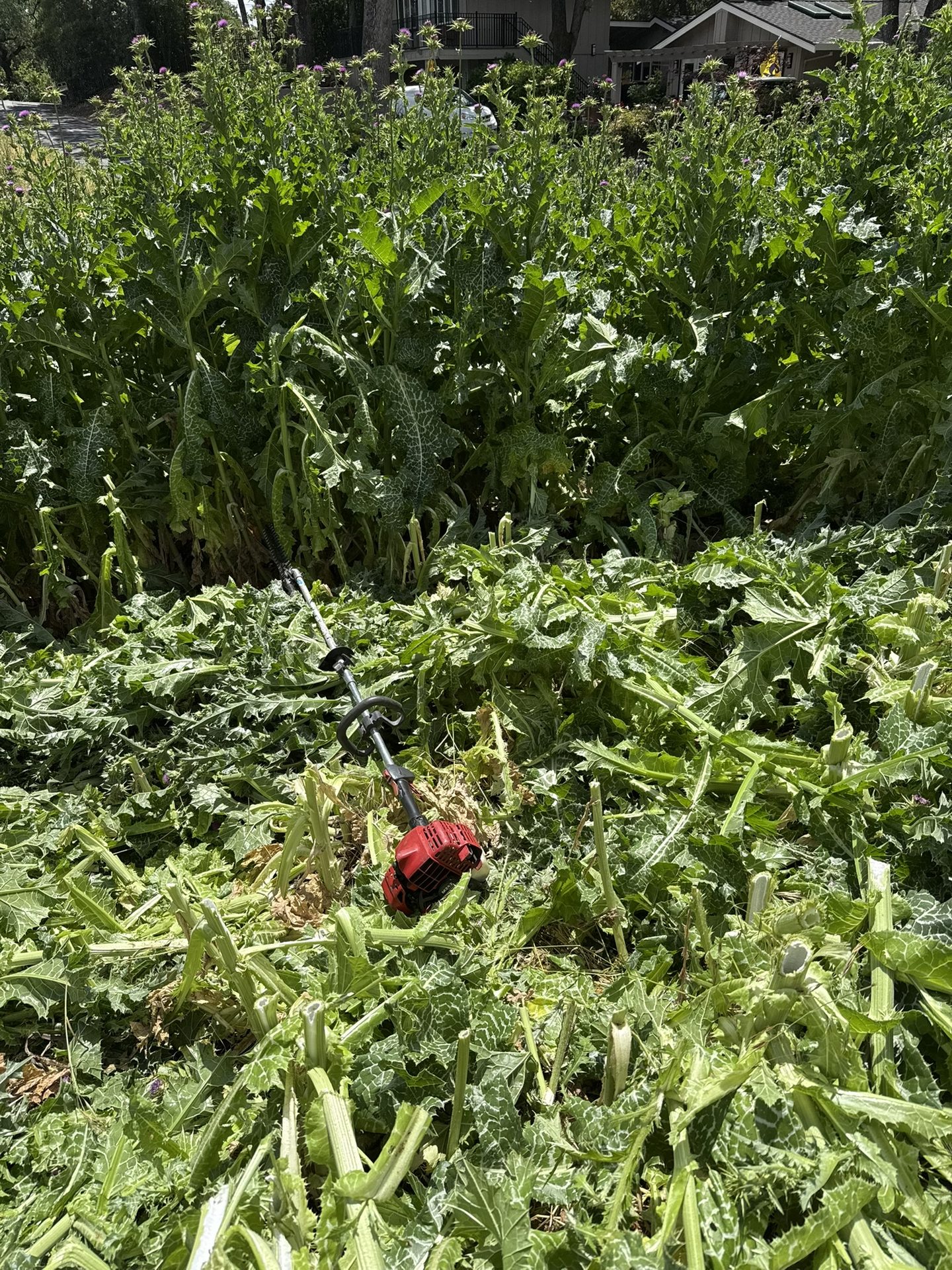 Effective Cleaning - Job Photo 70