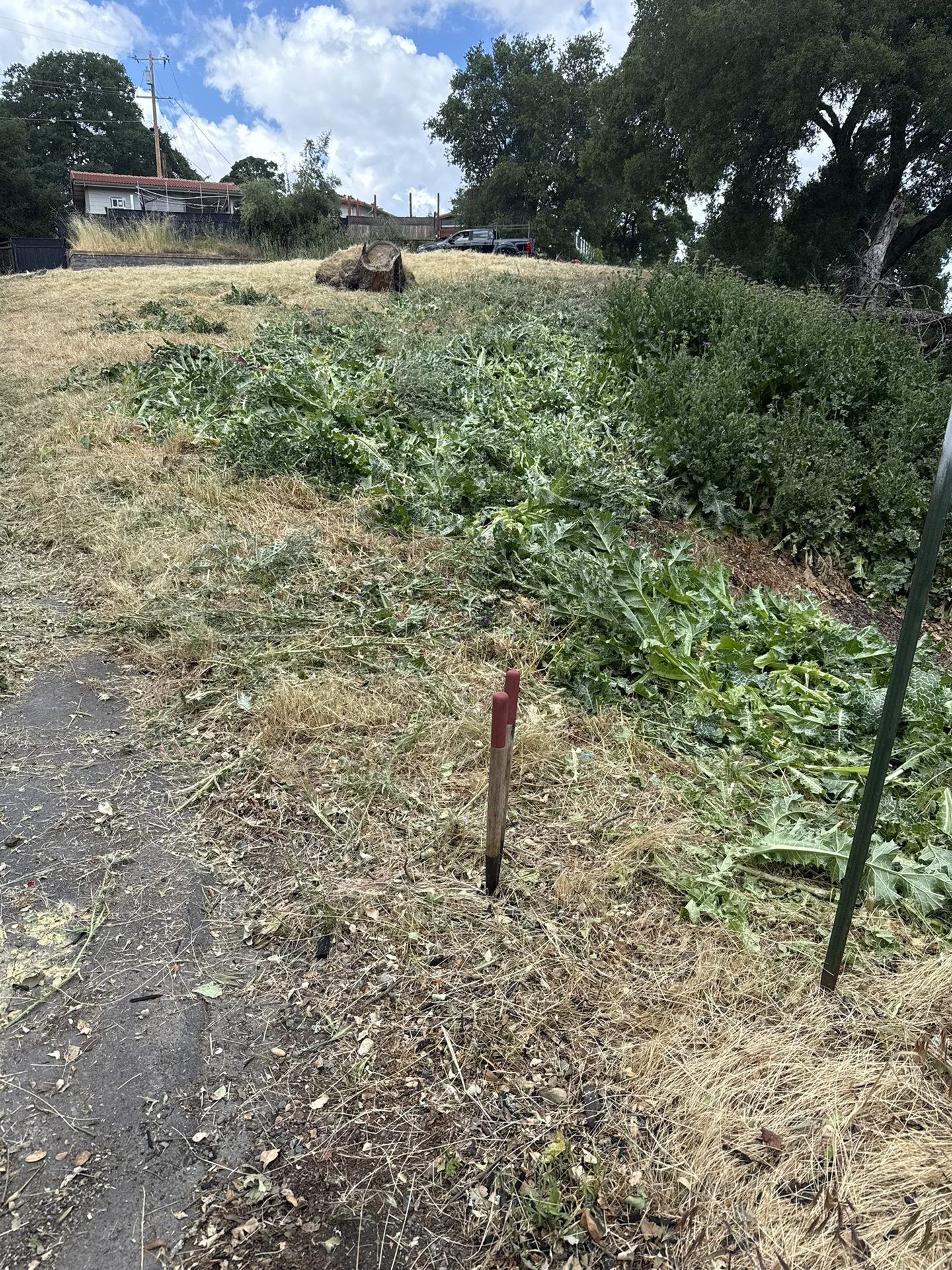 Effective Cleaning - Job Photo 71