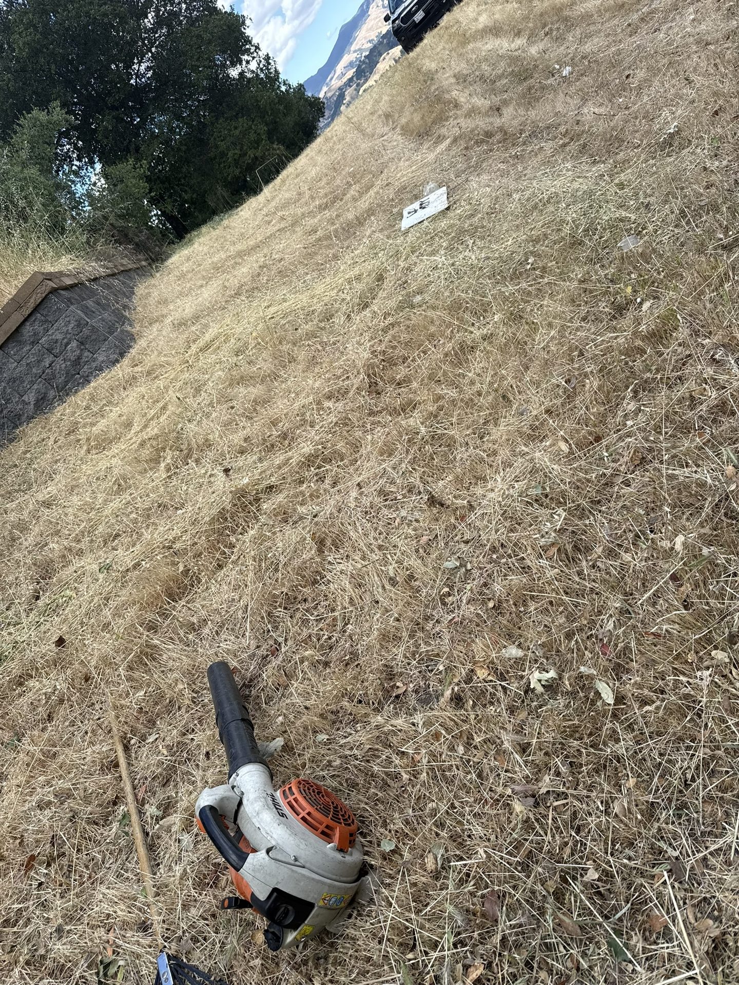 Effective Cleaning - Job Photo 73